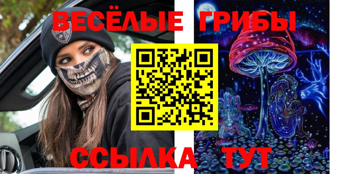 Галлюциногенные грибы прущие грибы  Вход с VPN  Качканар 
